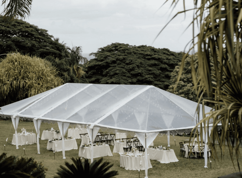 Outdoor celebration